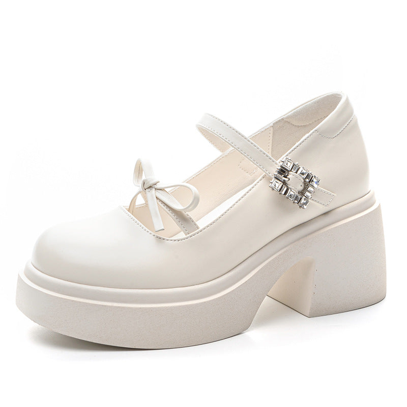 Women's Increasing Insole French Style Chunky Spring Retro British Small Mary Women's Fashion Shoes
