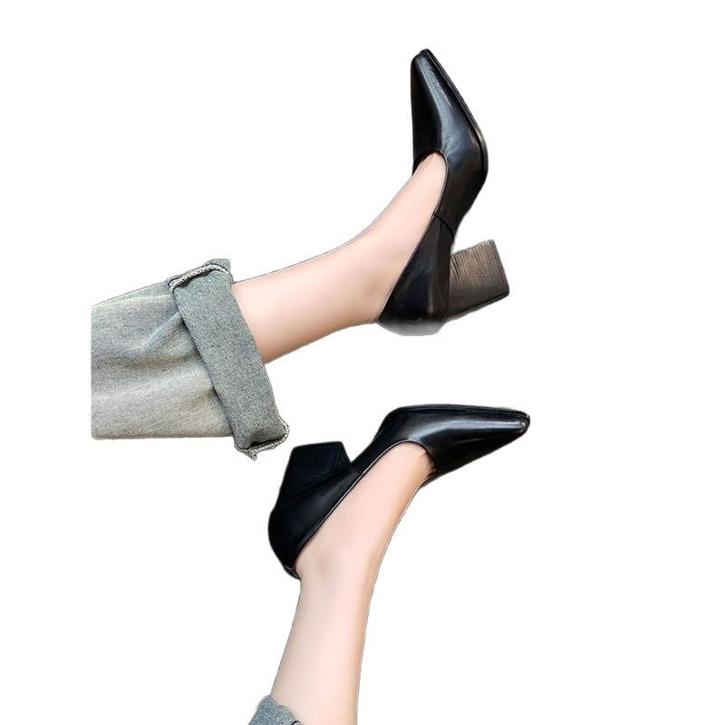 French Minority Pointed Toe Commuter High Female Temperament Genuine Women's Fashion Shoes