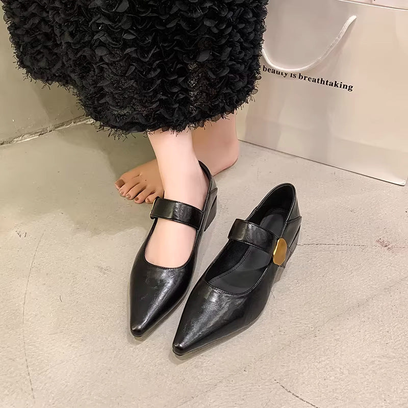 Women's Cowhide Mary Jane French Chunky Velcro Shallow Women's Fashion Shoes