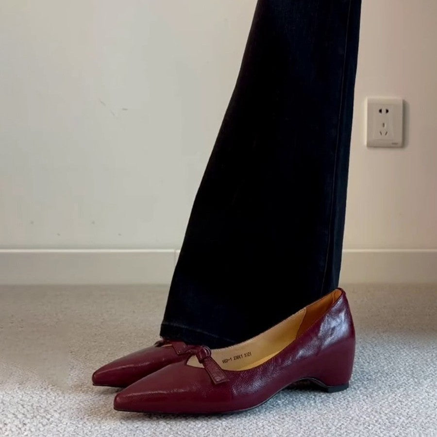 Women's Version Pointed Toe Pumps Versatile Workplace Commuter Black Retro Chunky Heels
